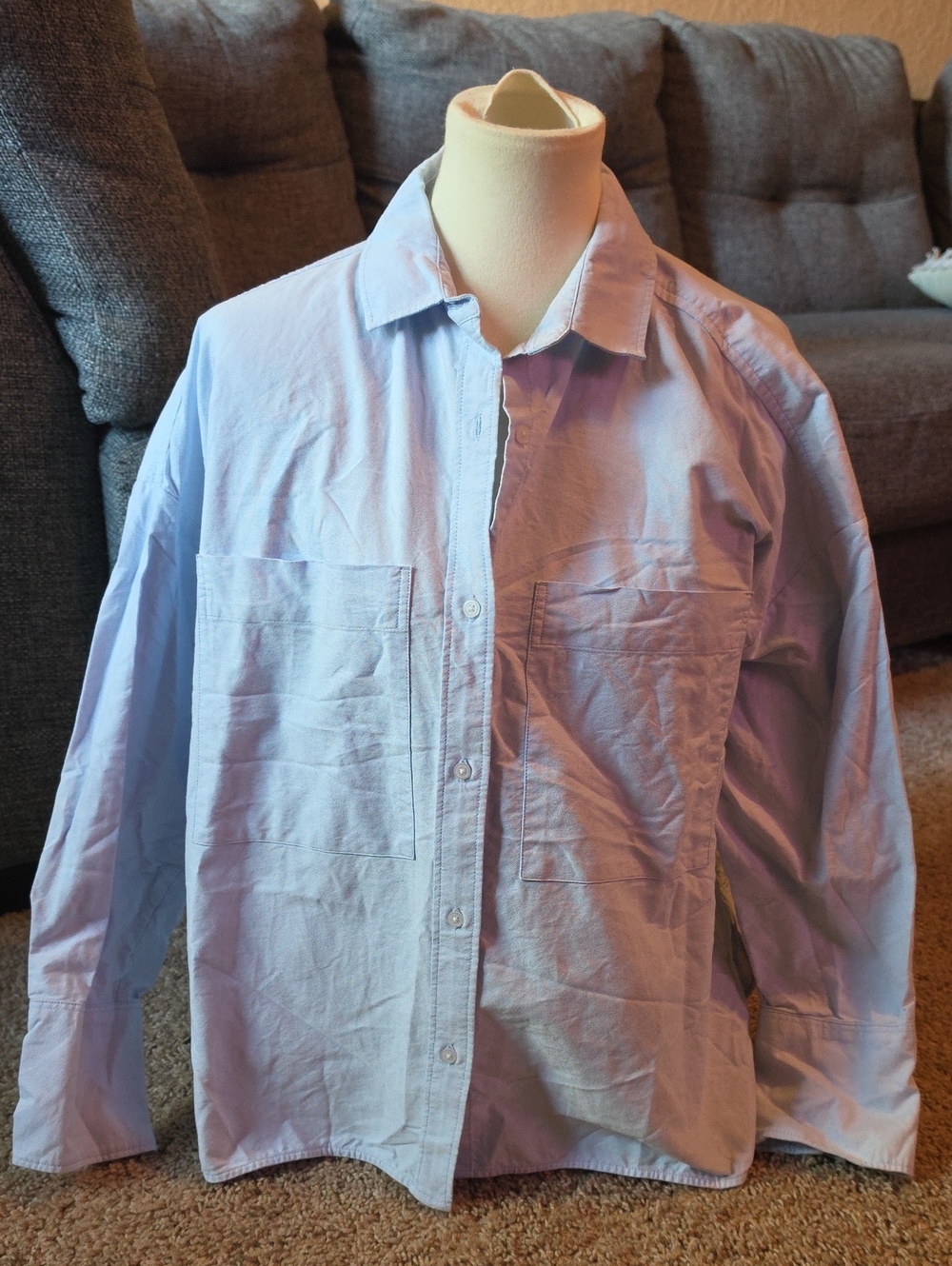 Everlane Light Blue Long Sleeve Button Up Blouse Size M 100% Organic Cotton
